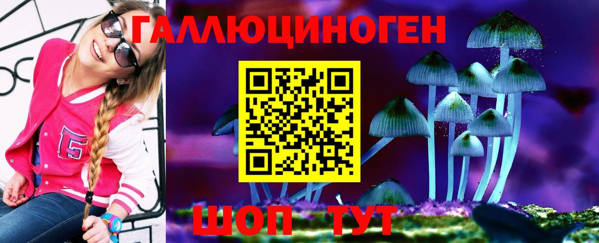 Куйбышев  Галлюциногенные грибы мицелий  Вход с VPN 